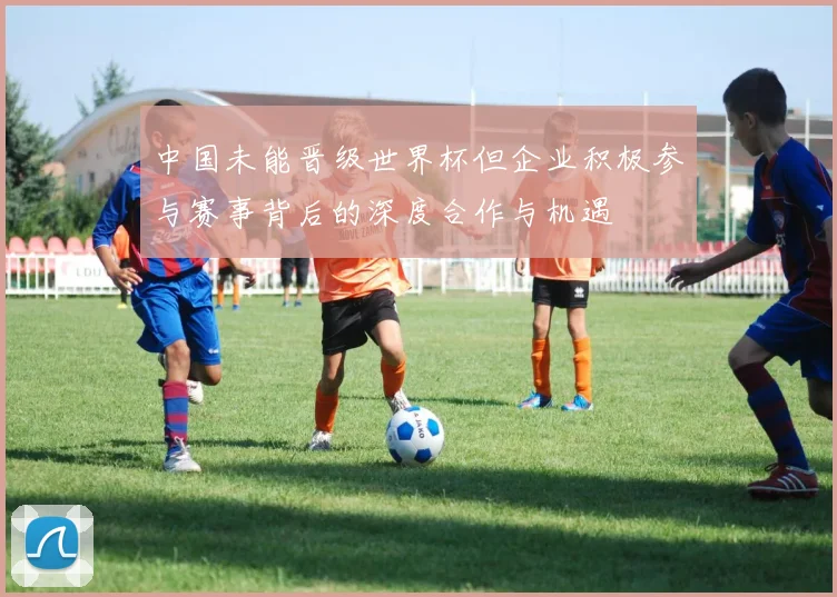 中国未能晋级世界杯但企业积极参与赛事背后的深度合作与机遇