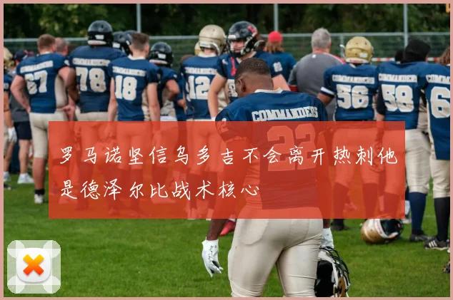 罗马诺坚信乌多吉不会离开热刺他是德泽尔比战术核心